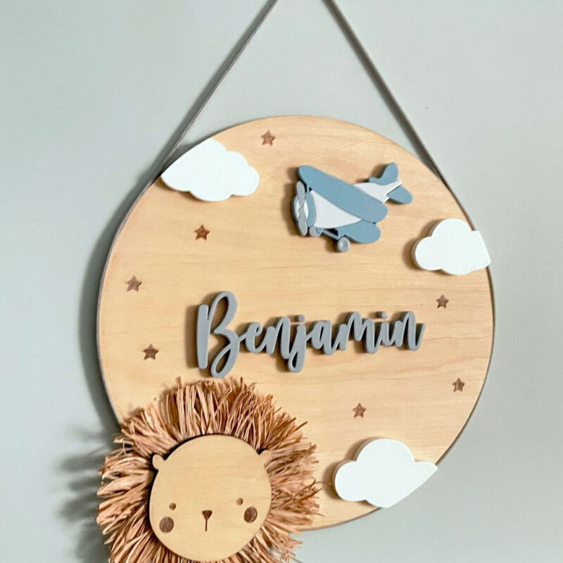 placa-palha-leao-aviao02